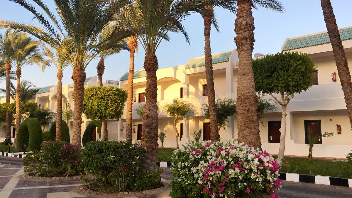 Sultan Gardens Resort 5* - отель для отдыха с детьми в Шарм-эль-Шейхе