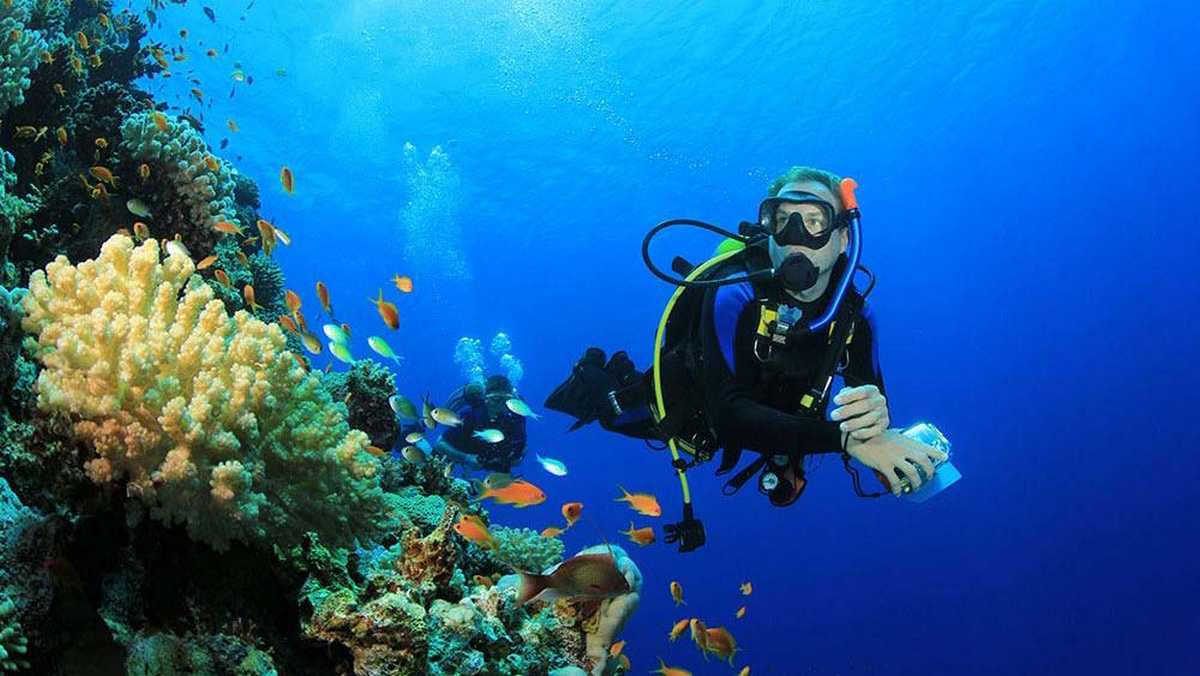 Экскурсия на дайвинг из Хургады