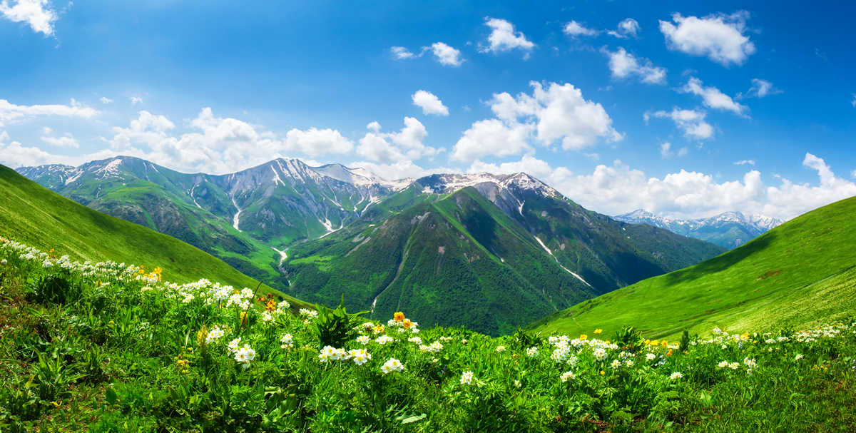 Відпочинок в Грузії